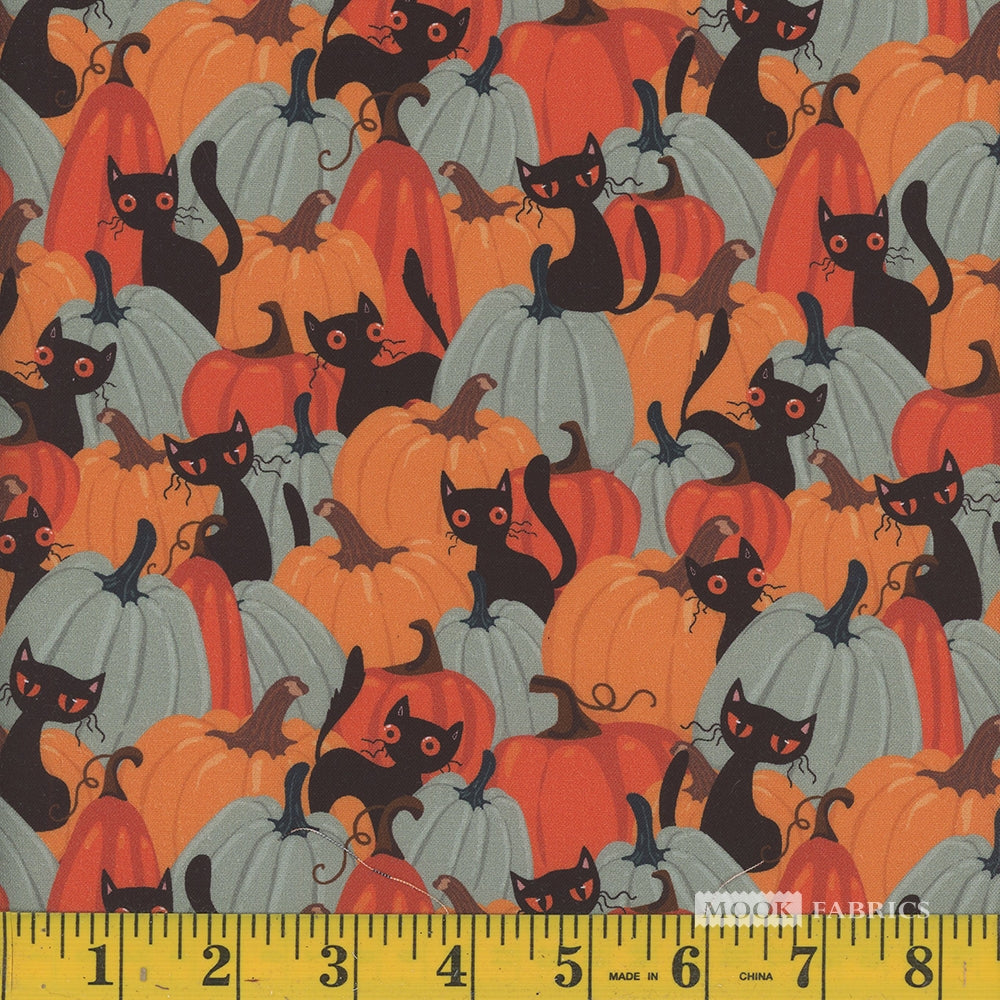 Halloween Pumpkin Patch Cats - Orange