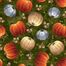 Load image into Gallery viewer, Quilting Treasures Harvest Elegance Pumpkins - Green
