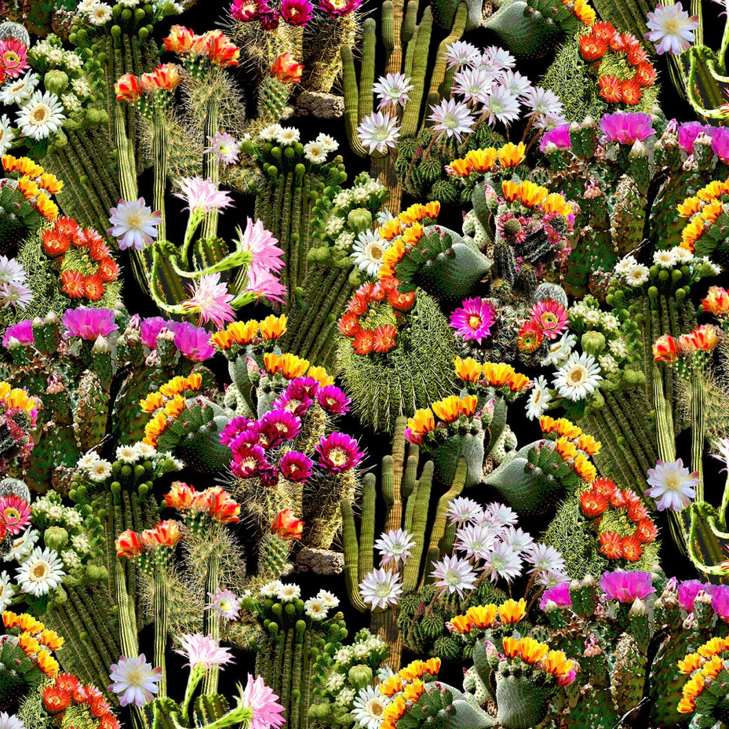 Timeless Treasures Desert Dream Flowering Cacti