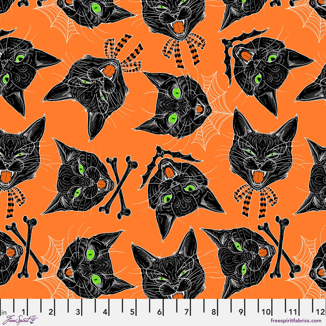 Free Spirit Scaredy Cat - Orange