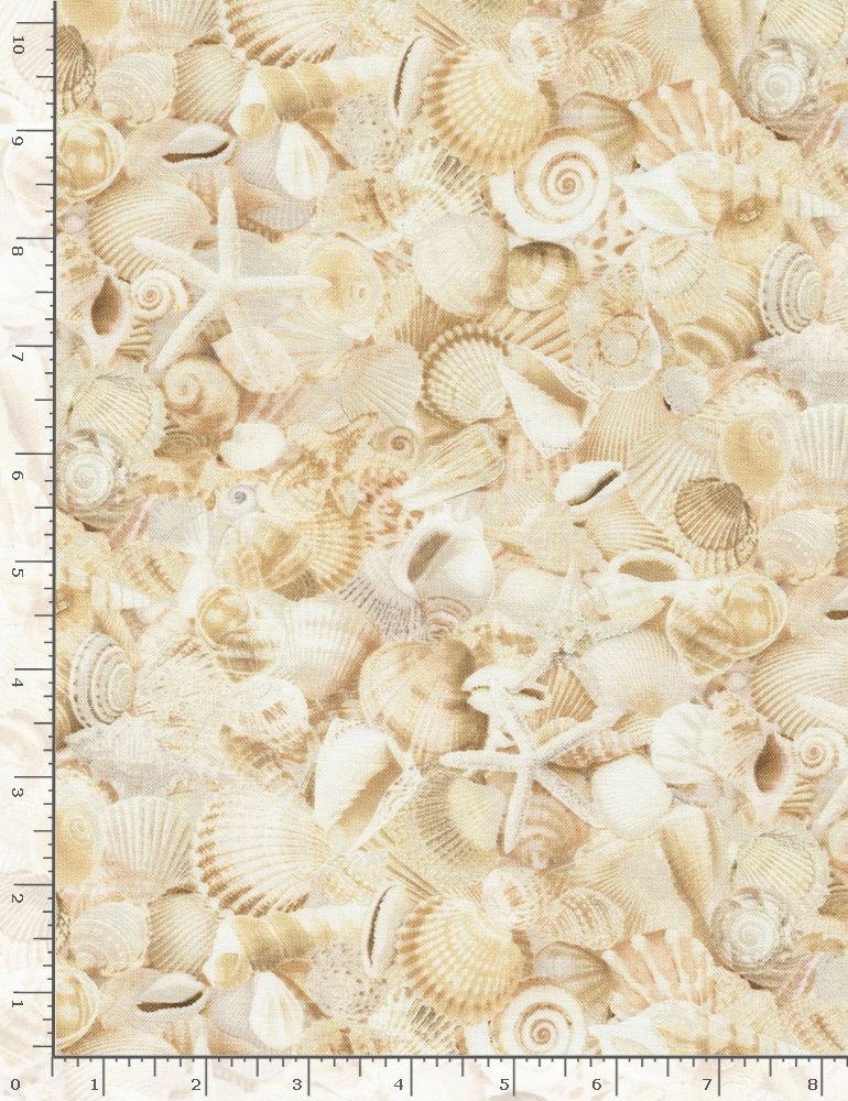 Timeless Treasures Welcome To The Beach Shells